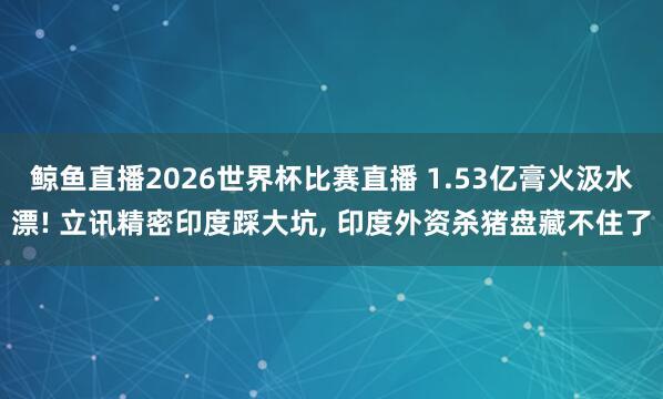 鲸鱼直播2026世界杯比赛直播 1.53亿膏火汲水漂! 立讯精密印度踩大坑, 印度外资杀猪盘藏不住了