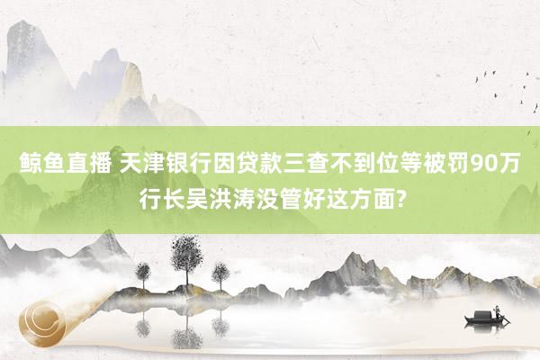 鲸鱼直播 天津银行因贷款三查不到位等被罚90万 行长吴洪涛没管好这方面?
