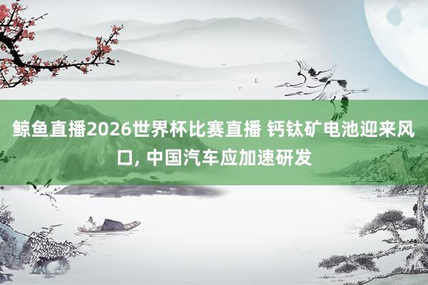 鲸鱼直播2026世界杯比赛直播 钙钛矿电池迎来风口, 中国汽车应加速研发