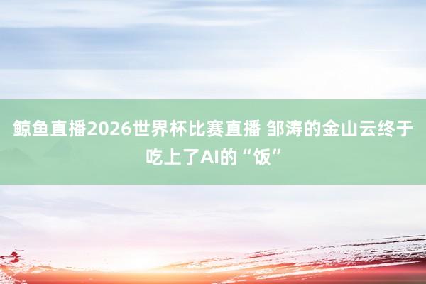 鲸鱼直播2026世界杯比赛直播 邹涛的金山云终于吃上了AI的“饭”