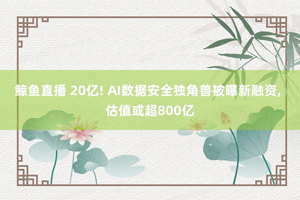 鲸鱼直播 20亿! AI数据安全独角兽被曝新融资, 估值或超800亿