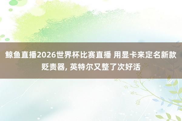 鲸鱼直播2026世界杯比赛直播 用显卡来定名新款贬责器, 英特尔又整了次好活