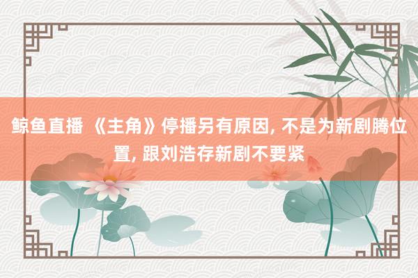 鲸鱼直播 《主角》停播另有原因, 不是为新剧腾位置, 跟刘浩存新剧不要紧