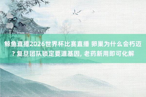 鲸鱼直播2026世界杯比赛直播 卵巢为什么会朽迈? 复旦团队锁定要道基因, 老药新用即可化解