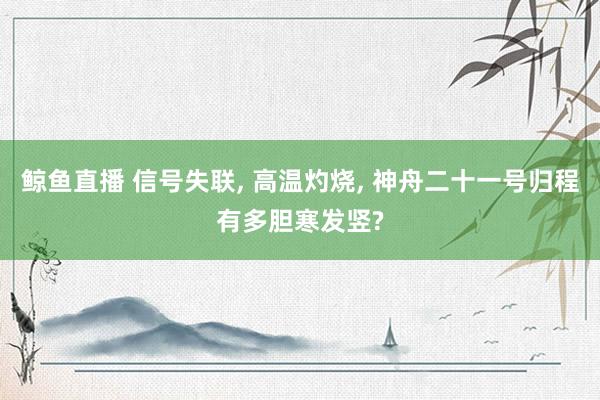 鲸鱼直播 信号失联, 高温灼烧, 神舟二十一号归程有多胆寒发竖?