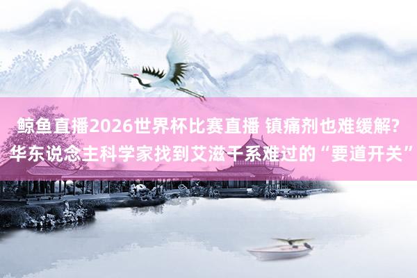 鲸鱼直播2026世界杯比赛直播 镇痛剂也难缓解? 华东说念主科学家找到艾滋干系难过的“要道开关”