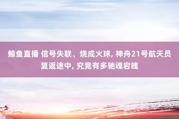 鲸鱼直播 信号失联、烧成火球, 神舟21号航天员复返途中, 究竟有多驰魂宕魄