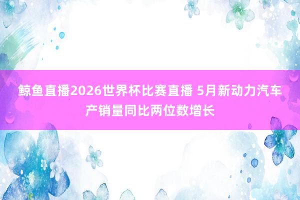 鲸鱼直播2026世界杯比赛直播 5月新动力汽车产销量同比两位数增长