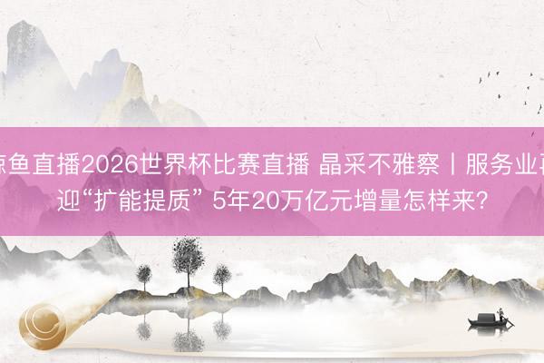 鲸鱼直播2026世界杯比赛直播 晶采不雅察丨服务业再迎“扩能提质” 5年20万亿元增量怎样来？
