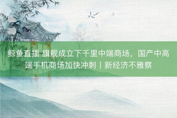 鲸鱼直播 旗舰成立下千里中端商场,国产中高端手机商场加快冲刺丨新经济不雅察