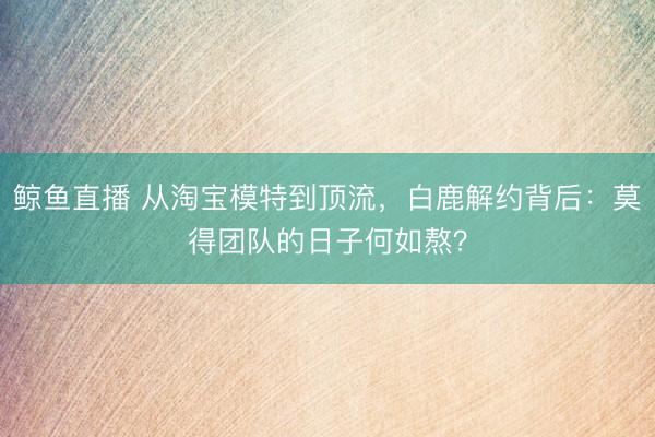 鲸鱼直播 从淘宝模特到顶流，白鹿解约背后：莫得团队的日子何如熬？
