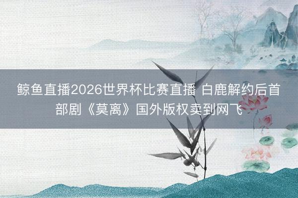 鲸鱼直播2026世界杯比赛直播 白鹿解约后首部剧《莫离》国外版权卖到网飞